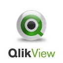 Qlik View Logo